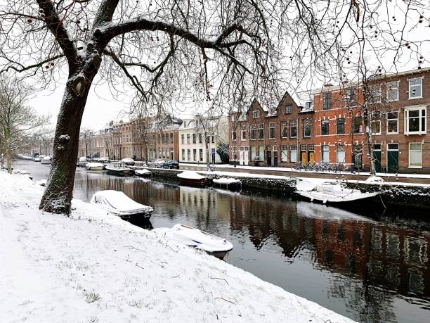 istock Reflection Of Bare Trees On Building During Winter 1129438963