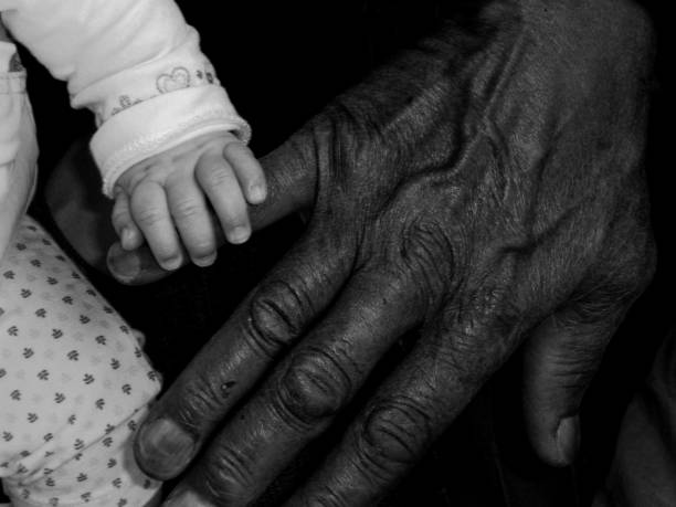 Baby's hand placed on an adult's hand. Baby's hand placed on an adult's hand, the black and white picture is also contrasted by the difference in skin colour of each person.
The adult's hand is large, worn and marked, the baby's hand is fragile, small and vulnerable. image en noir et blanc stock pictures, royalty-free photos & images