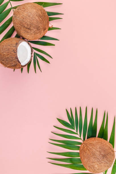 istock Palm leaves and coconuts on pink pastel background 1129440791