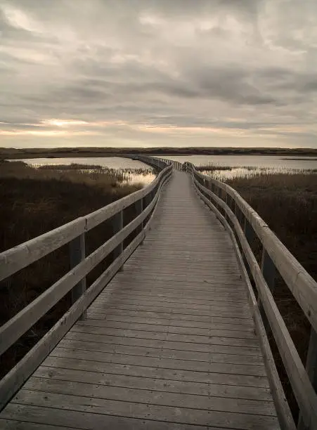 View towards the horizon of a long wooden bridge crossing a natural park