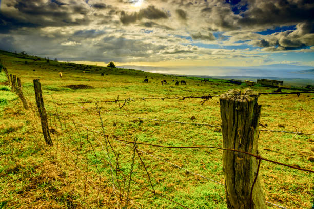 istock Island of Maui in Hawaii 1129443372