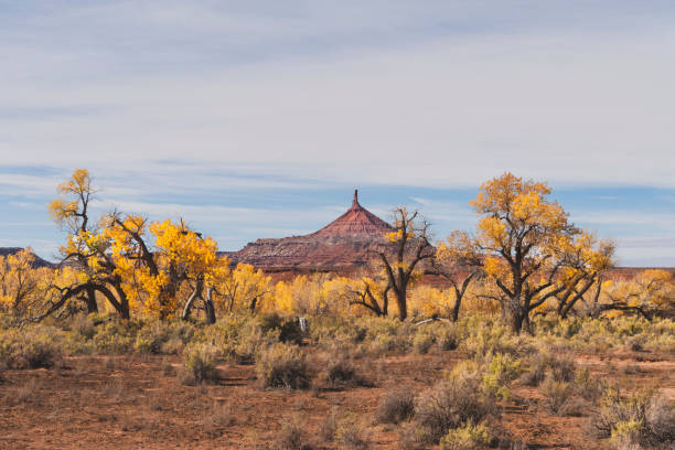 istock Canyonlands National Park, Utah 1129443397