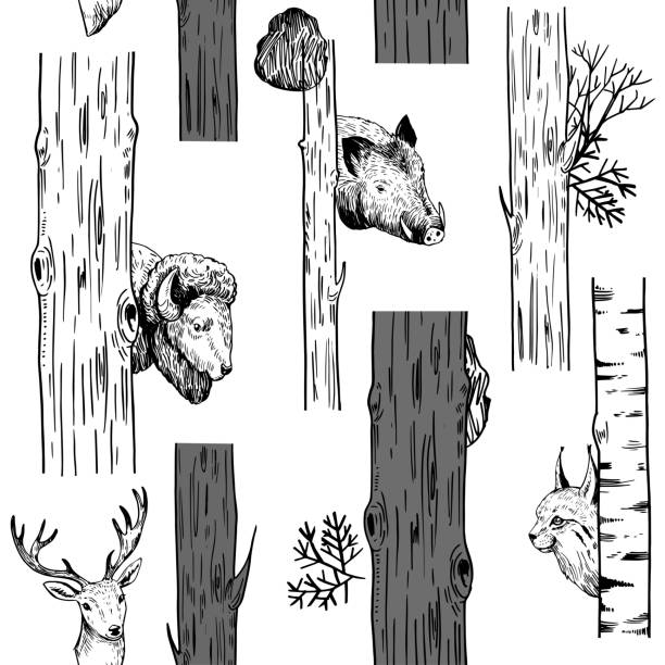 bildbanksillustrationer, clip art samt tecknat material och ikoner med seamless mönster med träd och skogens djur: lodjur, hjortar, vildsvin, bison. vektorillustration. - wild boar