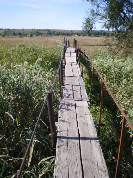 a small old wooden bridge in the reeds over the creek in early autumn