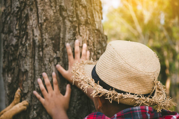 istock Rear View Of Man Touching Tree Trunk 1129448758