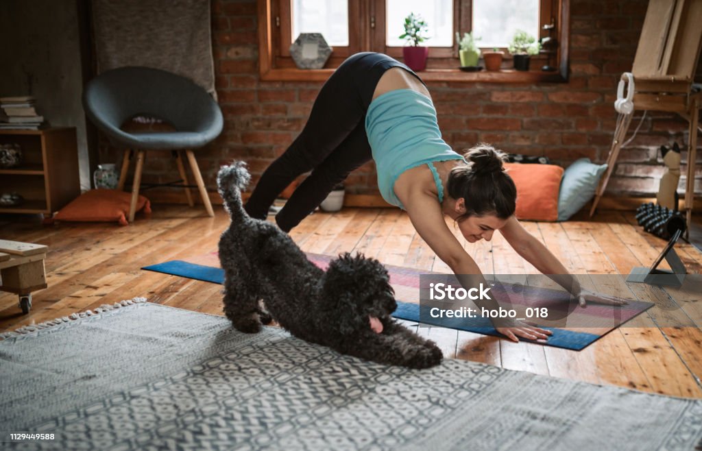 Frau beim Yoga mit ihrem Hund - Lizenzfrei Yoga Stock-Foto