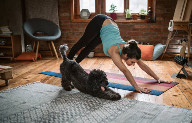 Woman doing yoga with her dog Young woman practicing downward facing dog pose playing with her pet in the living room exercise room photos stock pictures, royalty-free photos & images