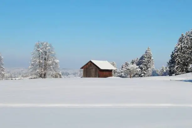 Winter, snow, landscape, sunny, winter fairy tale, fantastic, Allgäu, Bavaria