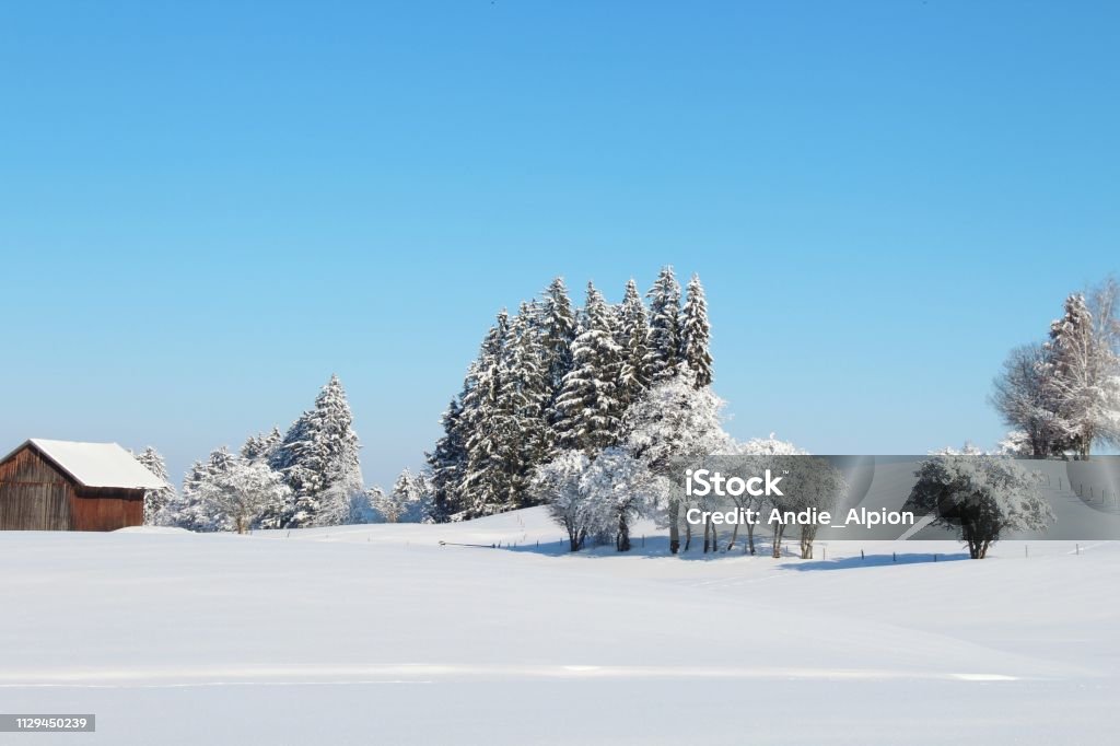 Fantastic, snowy winter landscape on a sunny day in the hilly Alpine foothills, Allgäu, Bavaria Winter, snow, landscape, sunny, winter fairy tale, fantastic, Allgäu, Bavaria Allgau Stock Photo