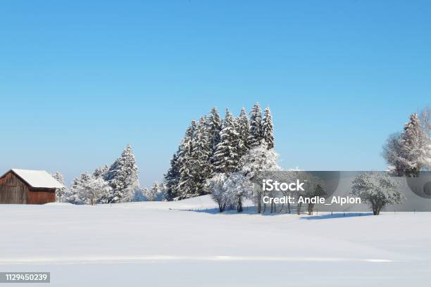 Fantastic Snowy Winter Landscape On A Sunny Day In The Hilly Alpine Foothills Allgäu Bavaria Stock Photo - Download Image Now