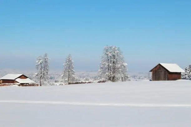 Winter, snow, landscape, sunny, winter fairy tale, fantastic, Allgäu, Bavaria