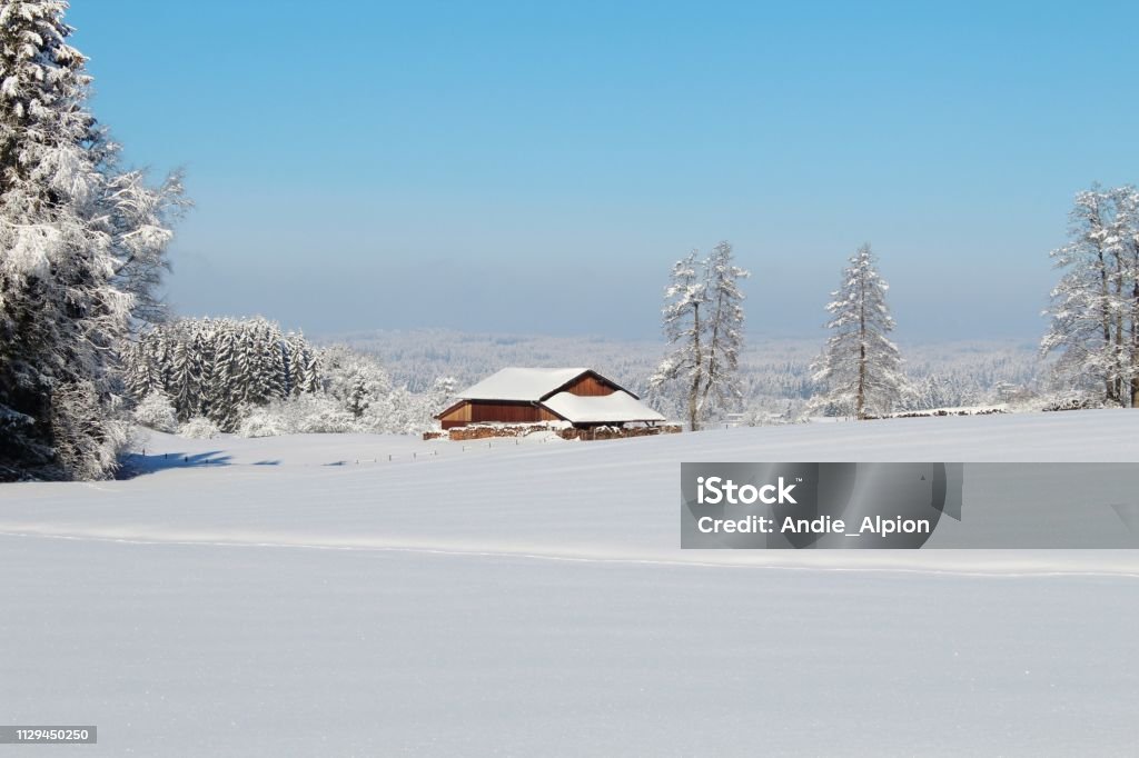 Fantastic, snowy winter landscape on a sunny day in the hilly Alpine foothills, Allgäu, Bavaria Winter, snow, landscape, sunny, winter fairy tale, fantastic, Allgäu, Bavaria Allgau Stock Photo