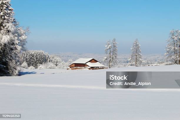 Fantastic Snowy Winter Landscape On A Sunny Day In The Hilly Alpine Foothills Allgäu Bavaria Stock Photo - Download Image Now