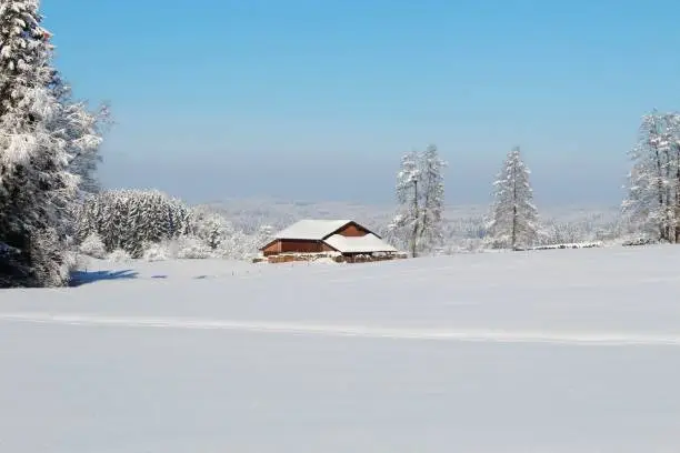 Winter, snow, landscape, sunny, winter fairy tale, fantastic, Allgäu, Bavaria