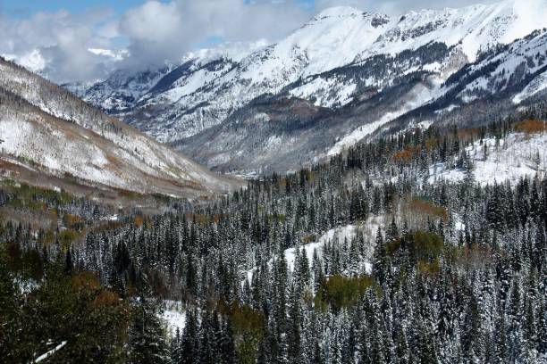 istock Aspen turning along the million dollar highway, Colorado 1129453737