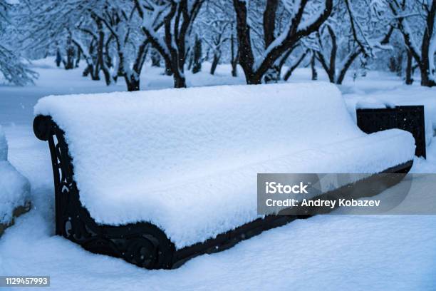 Trees And Bench In The Park After The Snow Completely Covered With Snow Stock Photo - Download Image Now