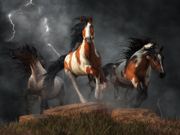 istock Mustangs of the Storm 1129458271