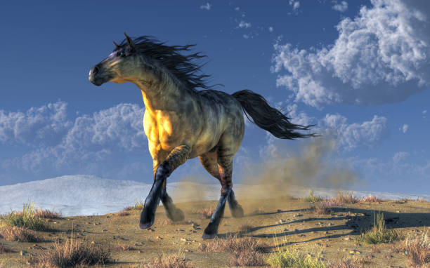 istock A Horse in the Desert 1129459388