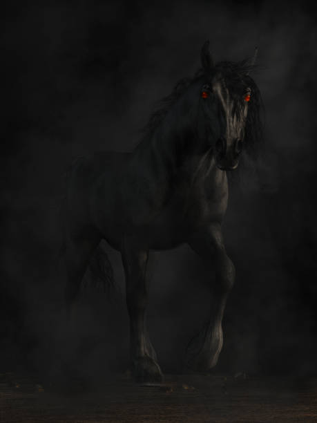 Nightmare Horse stock photo