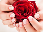 Womans hand with french manicure hold rose flower