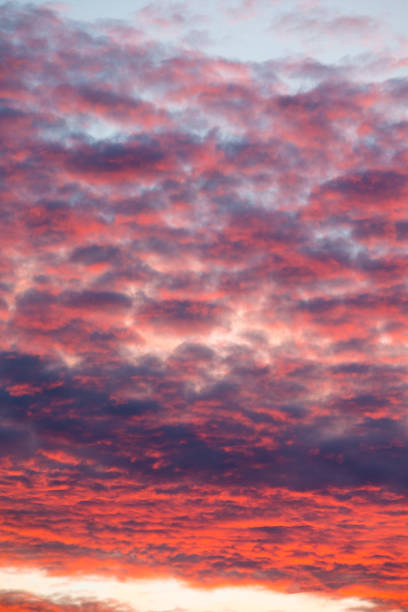 istock Colorful sunset sky over tranquil sea surface 1129459881