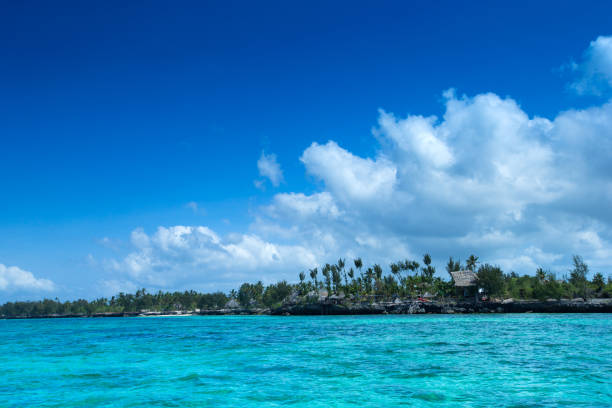 istock sea in Zanzibar beach 1129459920