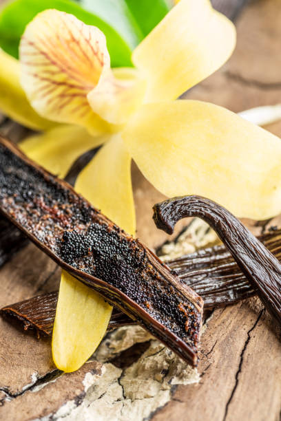 istock Dried vanilla fruits and vanilla orchid. 1129465924