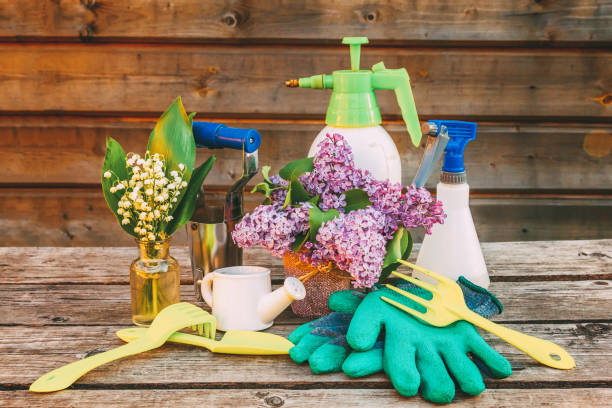 istock Gardening tools on wooden background 1129466732
