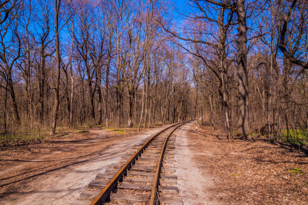 Railroad single track through the woods in early spring. Bright fresh spring landscape, no leaves yet, blue sky
