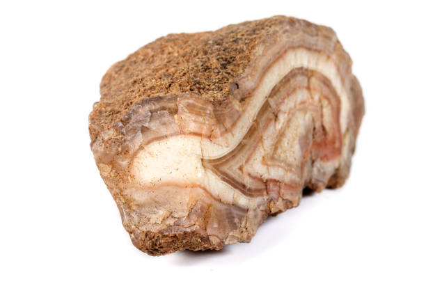istock Macro mineral stone Agate Brown on white background 1129467716