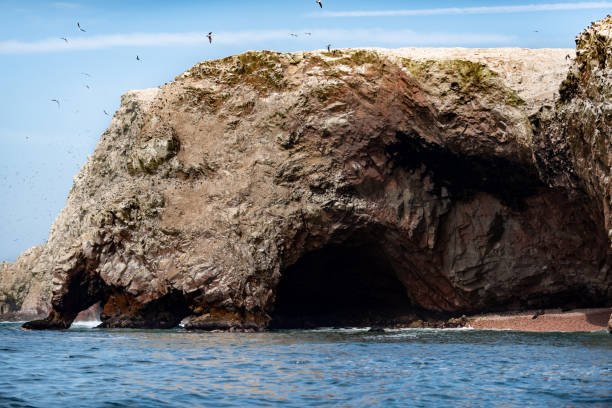 istock Ballestas Islands National Reserve, Peru 1129471420