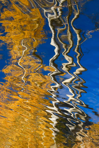 istock Blurred Background Aspen Trees Reflecting in Water with a Clear Blue Sky with Autumn Foliage in Vertical 1129472510