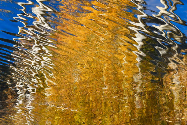 istock Blurred Background Aspen Trees Reflecting in Water with a Clear Blue Sky with Autumn Foliage 1129472548