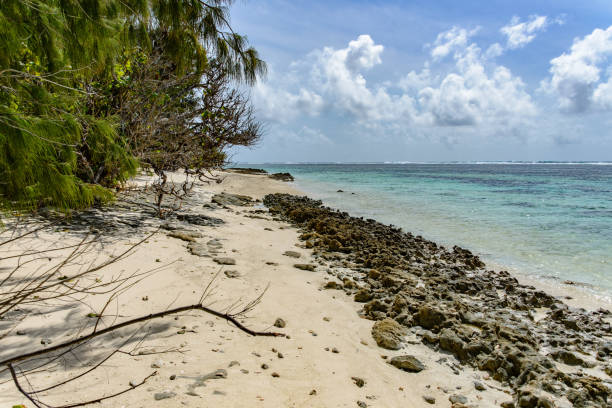 istock An idyllic tropical beach. There is sand and rocks, with clear blue-green water. 1129473310