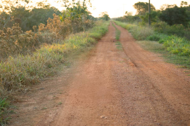 volta de estrada reta sujeira vazio iluminado bonito brasil - travel nature back lit rural scene - fotografias e filmes do acervo