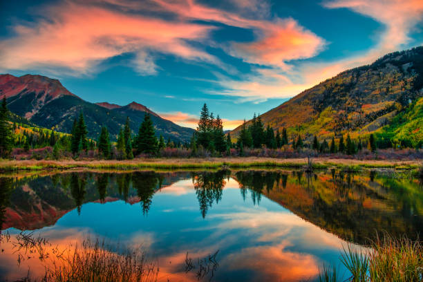 colorido montaña panorámica al amanecer - pino conífera fotos fotografías e imágenes de stock