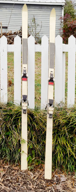 istock Free Skis in Alley 1129479859