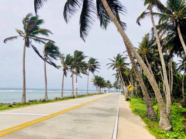 istock Road on the island 1129481574