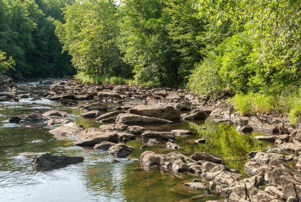 istock River water streaming and eddying in Blackstone Gorge 1129482430