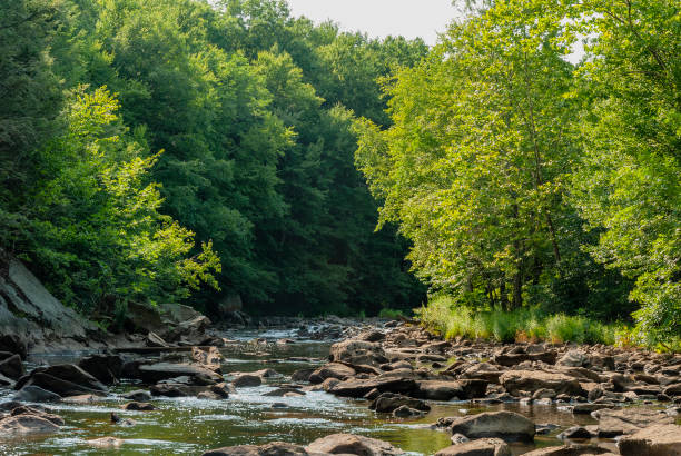 istock Placid river in Blackstone Gorge in early summer 1129482433