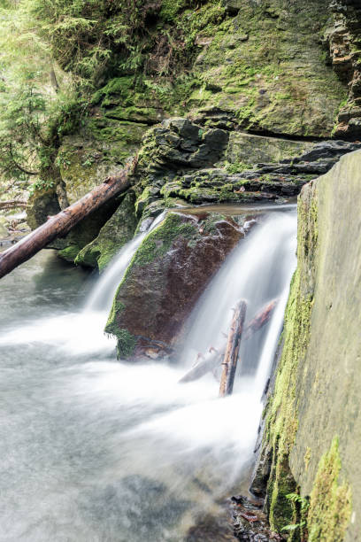 istock Small mountain waterfall on the rocks covered with moss in the forest 1129485597
