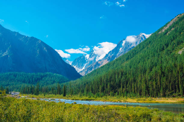 istock Mountain creek in valley before beautiful glacier. Snowy rocks behind mountains with conifer forest. Huge clouds on giant snowy mountain top under blue sky. Atmospheric landscape of highland nature. 1129486652