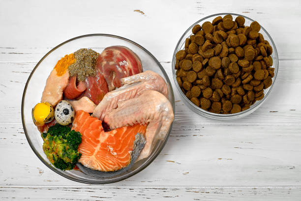 alimentos para perros cruda natural dieta barf como frente de kibble seco alimentos concepto closeup - pescado secado fotografías e imágenes de stock