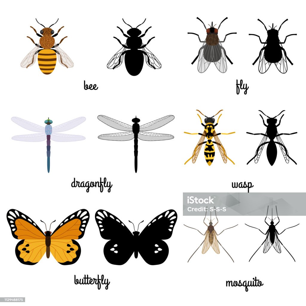 Siluetas coloridas y negros aislados sobre fondo blanco de insectos voladores - arte vectorial de Insecto libre de derechos