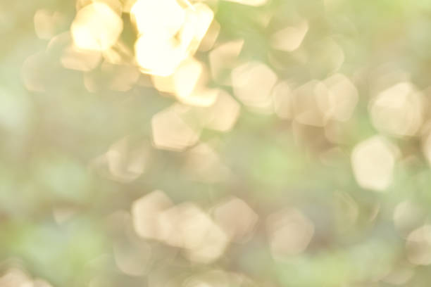 istock sunlight nature glitter green color nature bokeh focus soft blur 1129493539