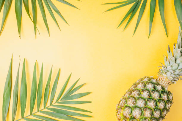 istock Top view travel or vacation concept. Summer background. 1129498476