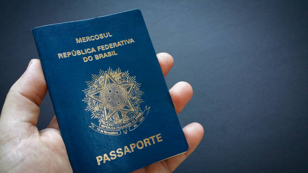 istock Hand holding Brazilian passport 1129502113
