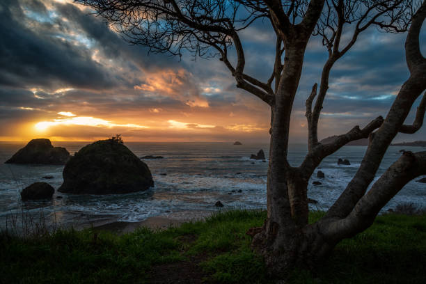 istock Sunset at a Rocky Beach, Northern California Coast 1129515953