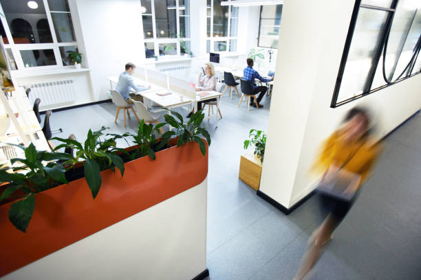 istock People working in modern company 1129517405