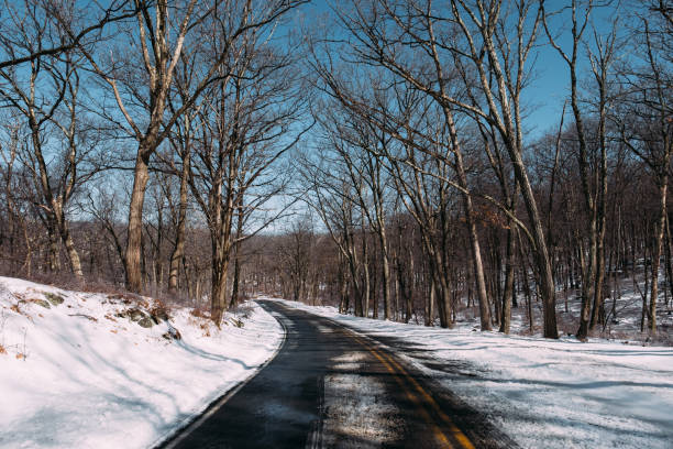 snowy road in harriman state park - new york state - corner marking fotos imagens e fotografias de stock